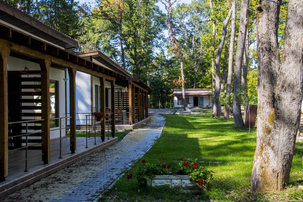 קמיצ'יה Elmona Villas מראה חיצוני תמונה
